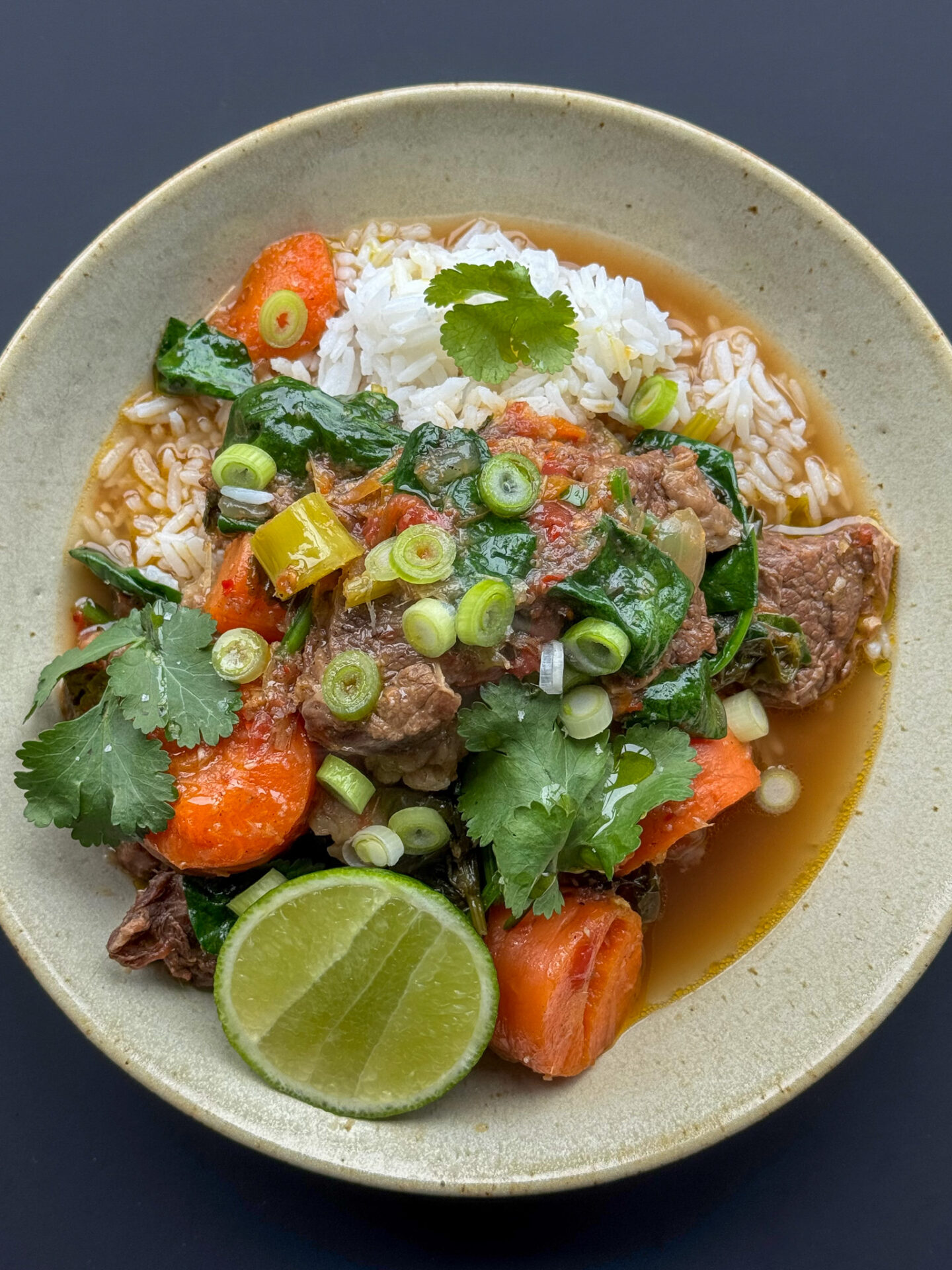 Gut-Healing Lemongrass Beef Stew - Brooke Kelly Nutrition